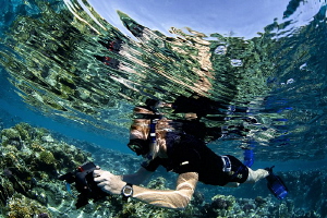 UW photographer in shallow waters..... by Iyad Suleyman 